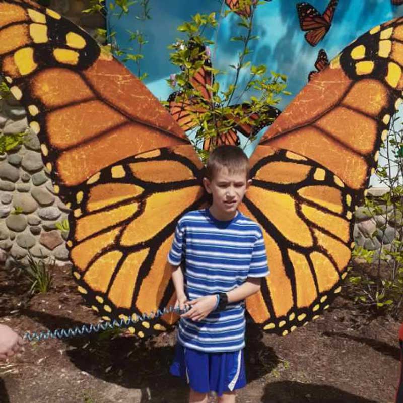 young-boy-in-front-of-butterfly-wings